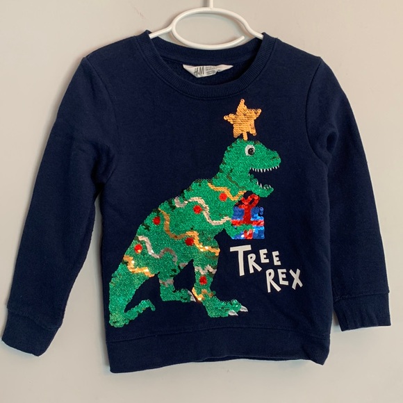 H&M Other - H&M Toddler Boys Christmas T-Rex Sweater Size 3-4